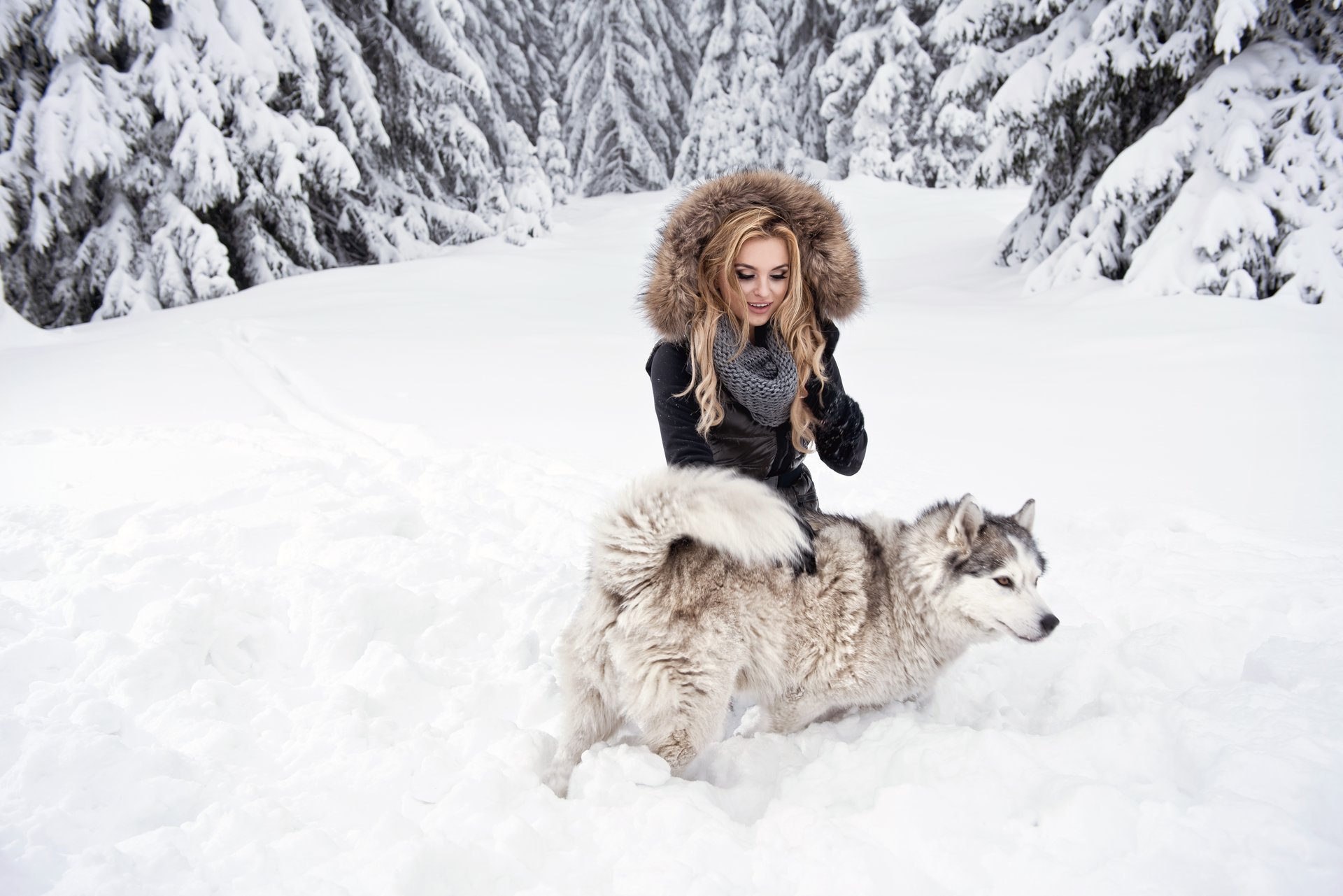 blonde girl dog husky view snow forest