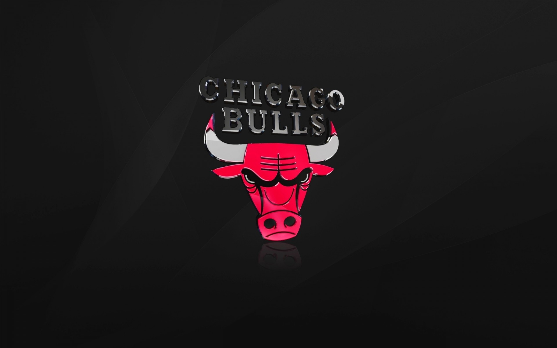 michael jordan tori chicago emblema basket nero nba