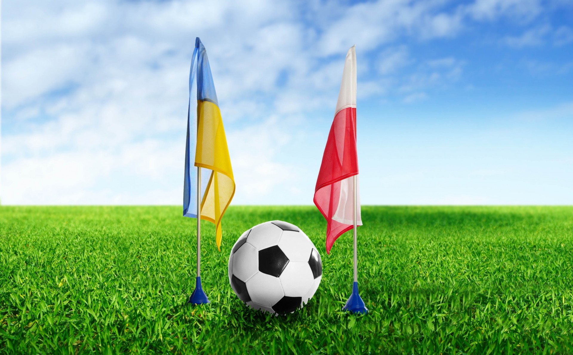 poland ball grass ukraine football flag