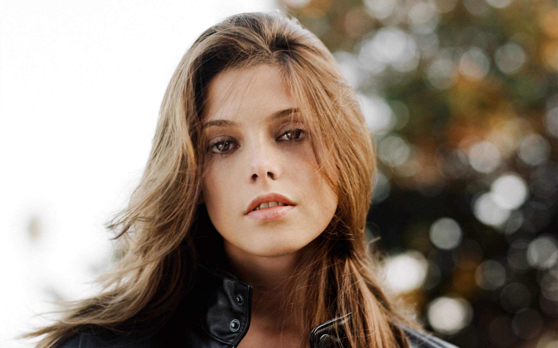 ashley greene alice babe actress brunette enchanting beauty