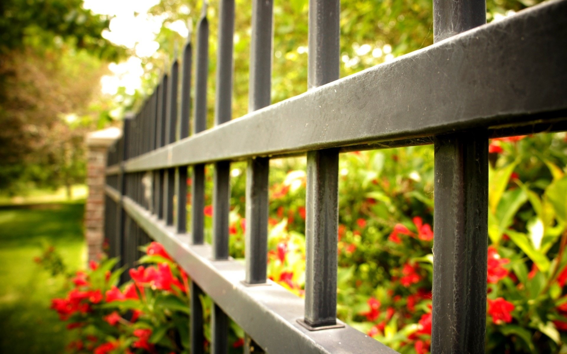 macro gate fence fence flowers fence fencing macro