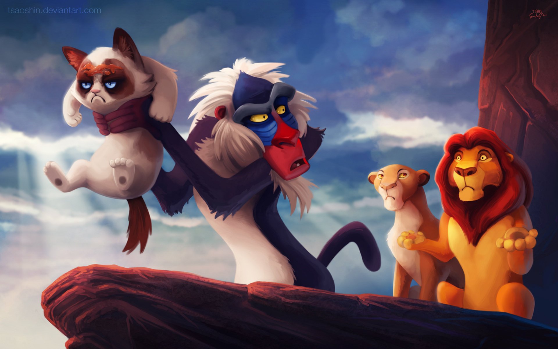 lion king lion lion king grumpy cat king king lion angry cat joke joke internet