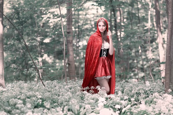 Little Red Riding Hood is walking in the forest