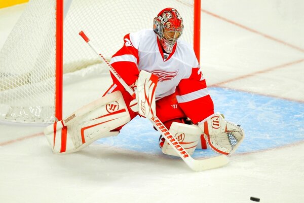 The goalkeeper catches the puck during a hockey match