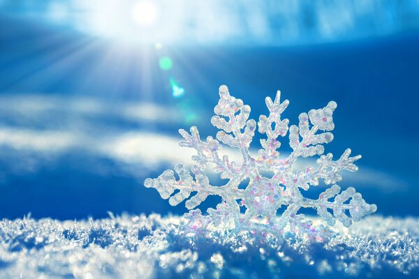 A beautiful snowflake in the snow. Frost and sun