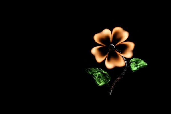 Neon flower of fire. Minimalism on a black background