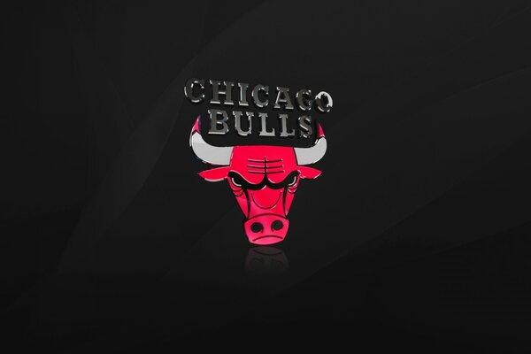 Das Emblem des Basketballspielers Michael Jordan