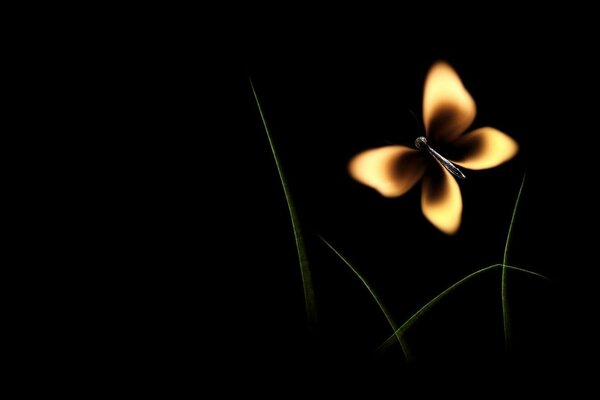 Mariposa de fuego sobre fondo negro