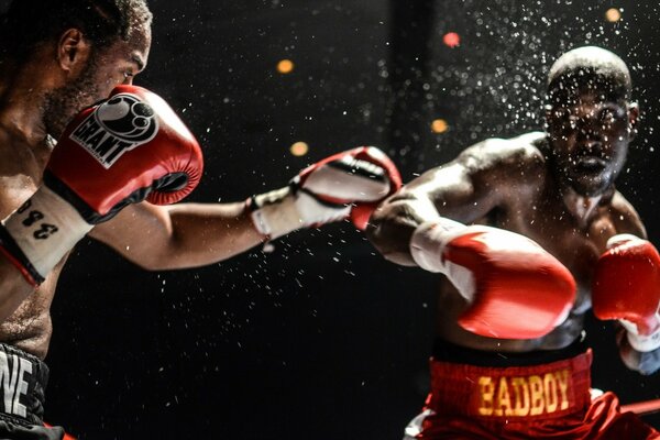 Pelea de boxeadores y gotas de sudor