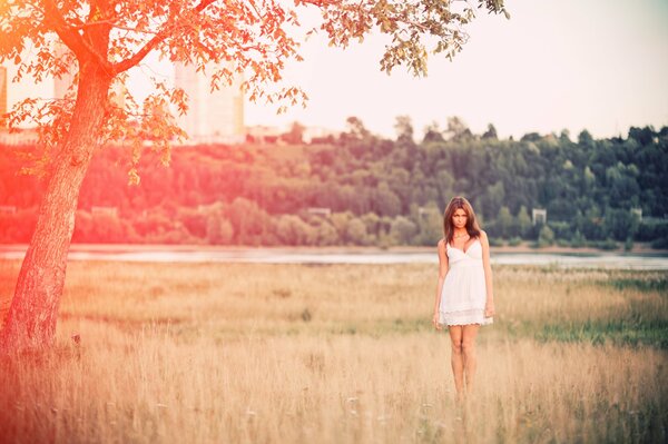A girl in a white dress on a beautiful field