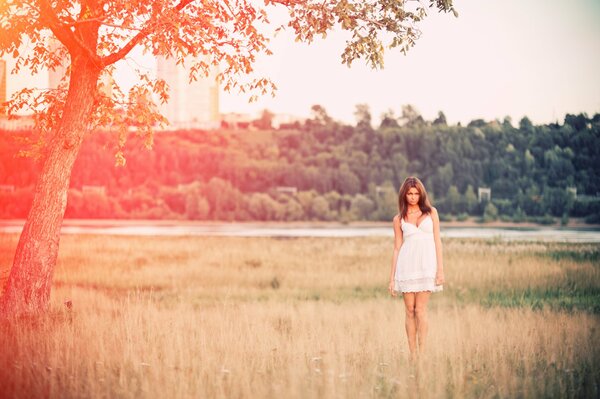 Chica en un vestido blanco en un hermoso campo