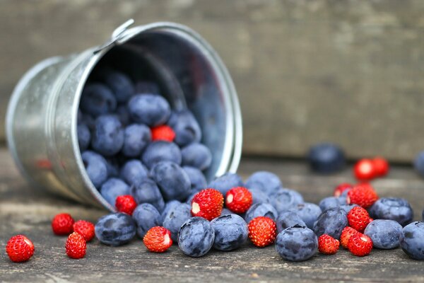 Seau de myrtilles et de fraises sur la table