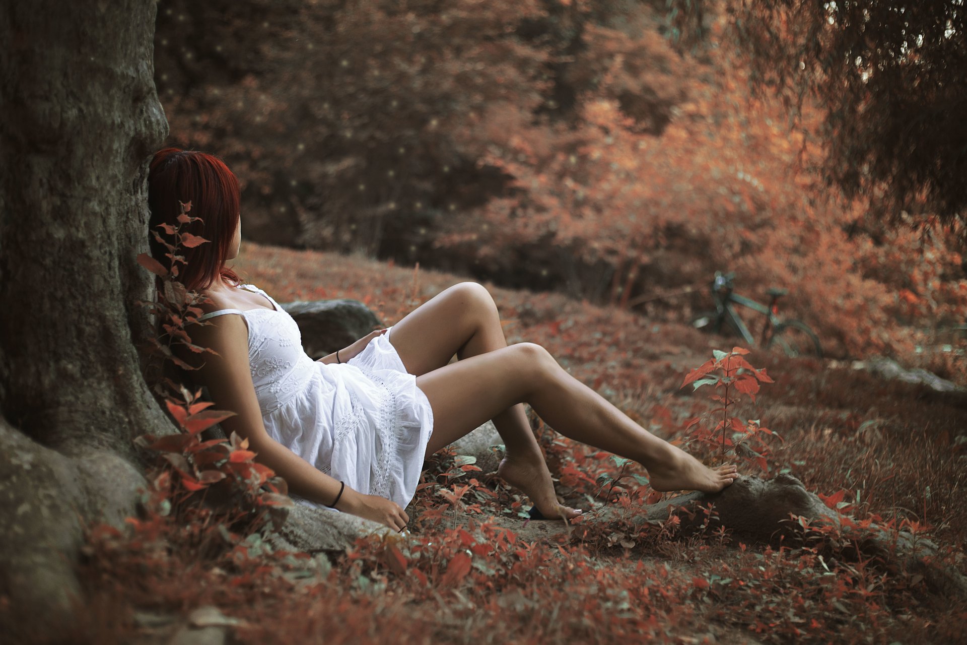 girl red autumn leaves foliage pose tree