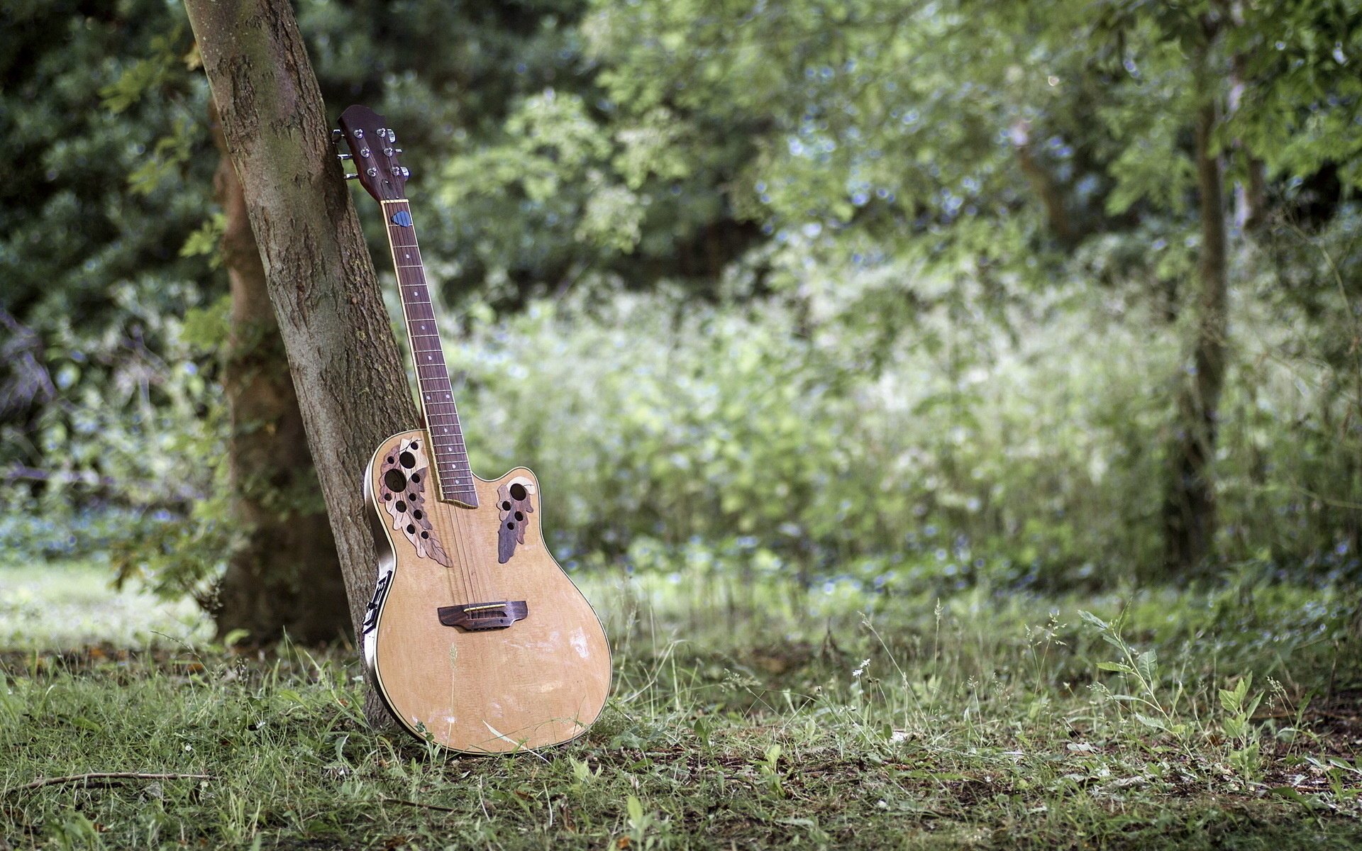 acoustic muzyka gitara