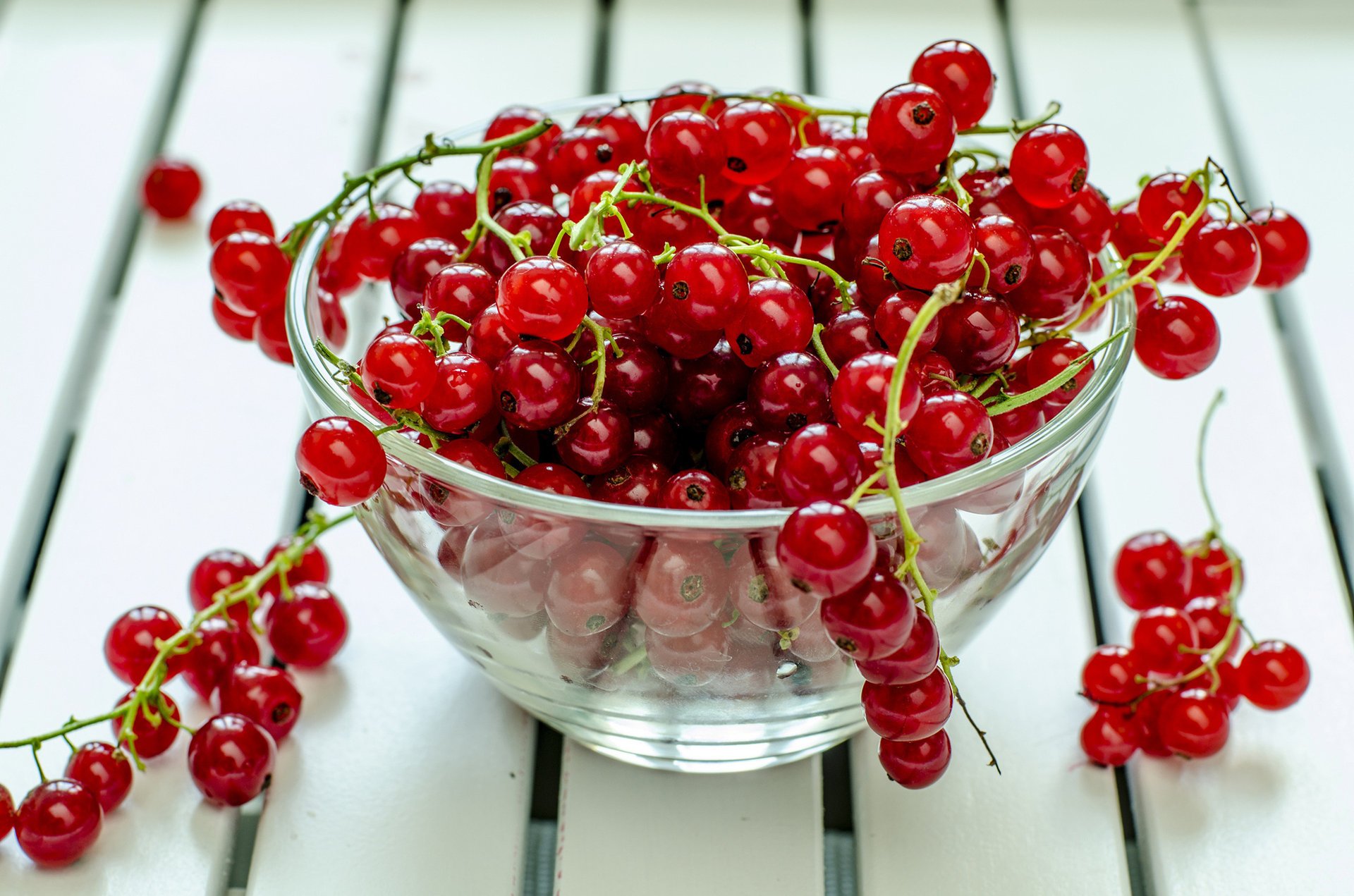 johannisbeere teller beeren rot tisch