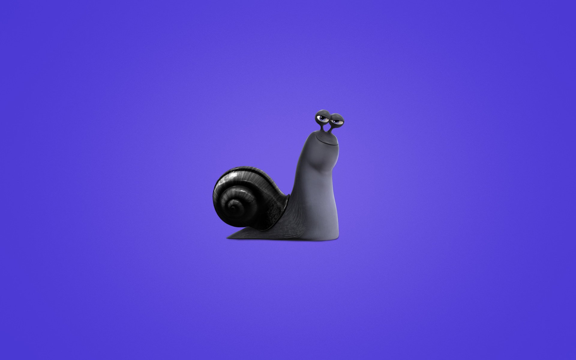 minimalismus schnecke turbo schnecke lila hintergrund turbo