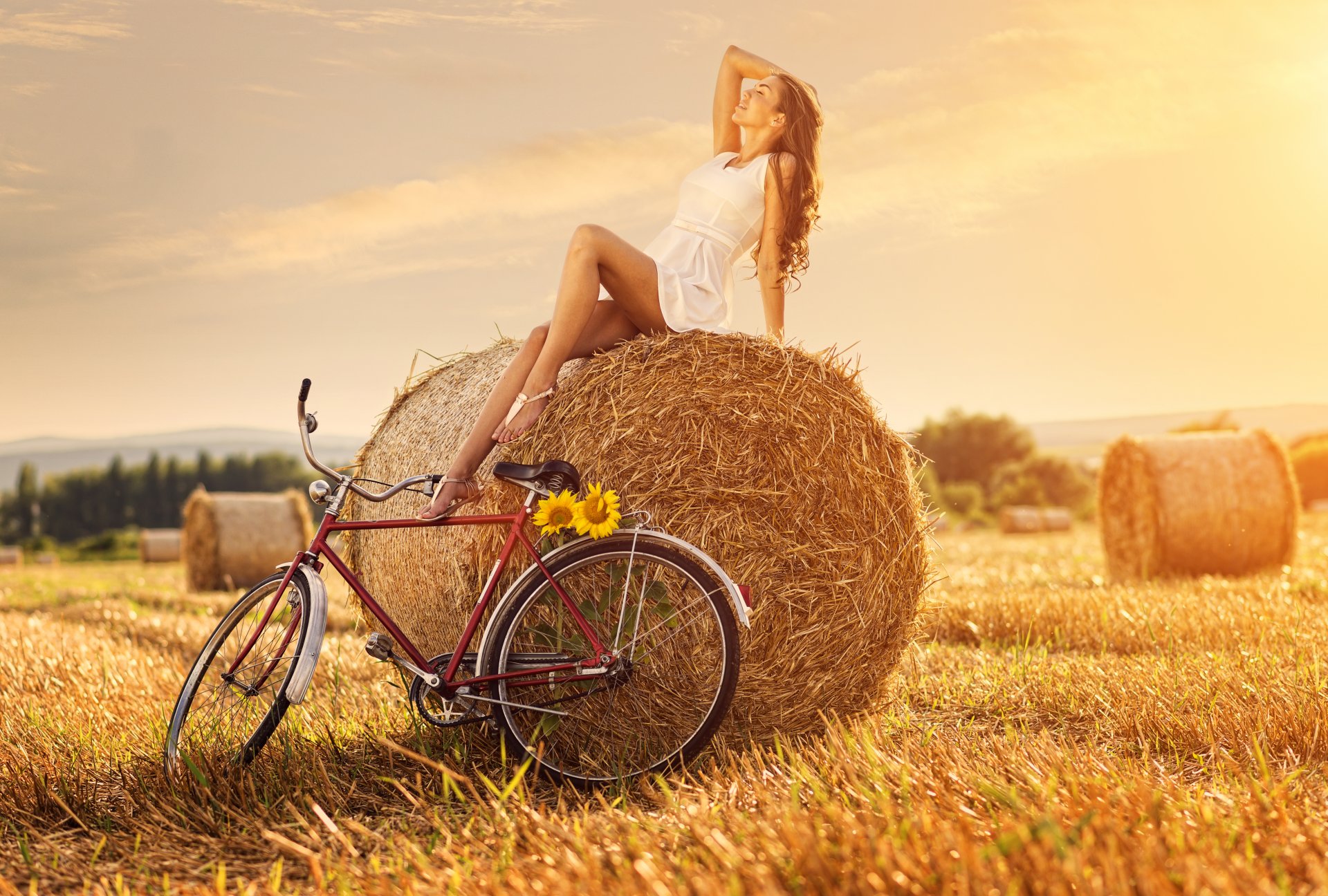 feld heuhaufen mädchen fahrrad sonnenblume