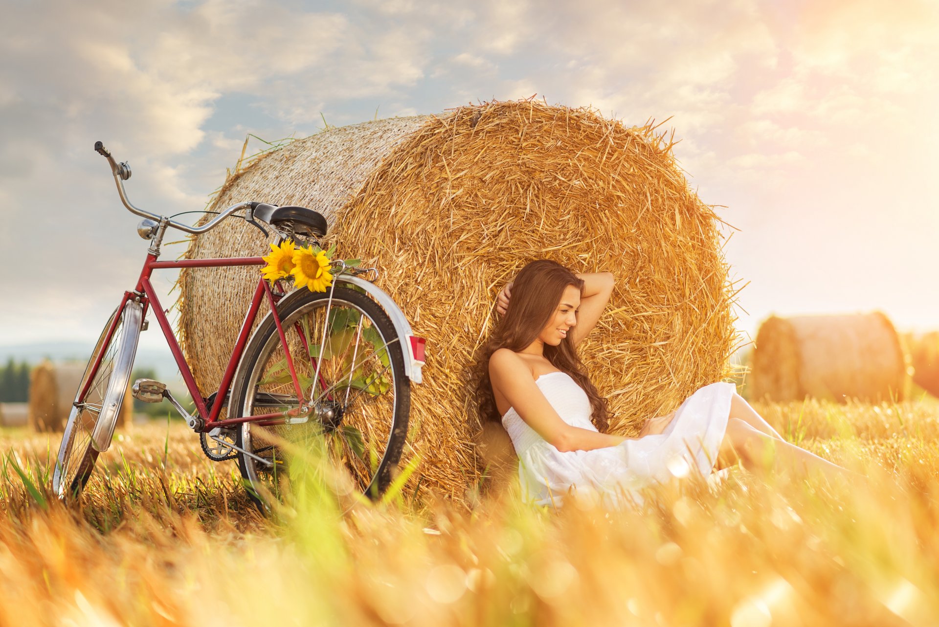 field haystack girl bicycle sunflower field haystack girl bicycle sunflower