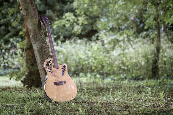 A beautiful guitar stands on the grass by a large tree