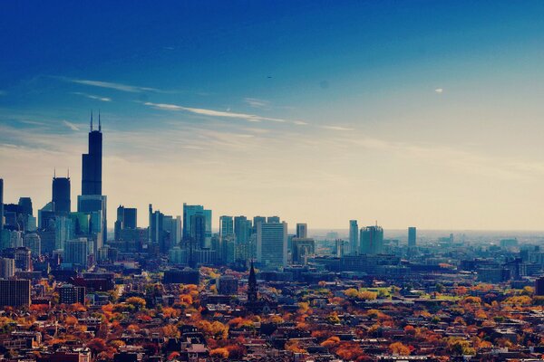 The most beautiful skyscrapers are in Chicago