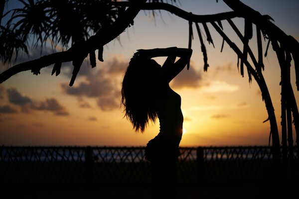 Silhouette di una ragazza sexy su uno sfondo al tramonto