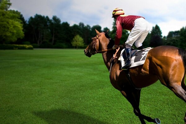 Un cavalier sur un cheval saute vers la forêt