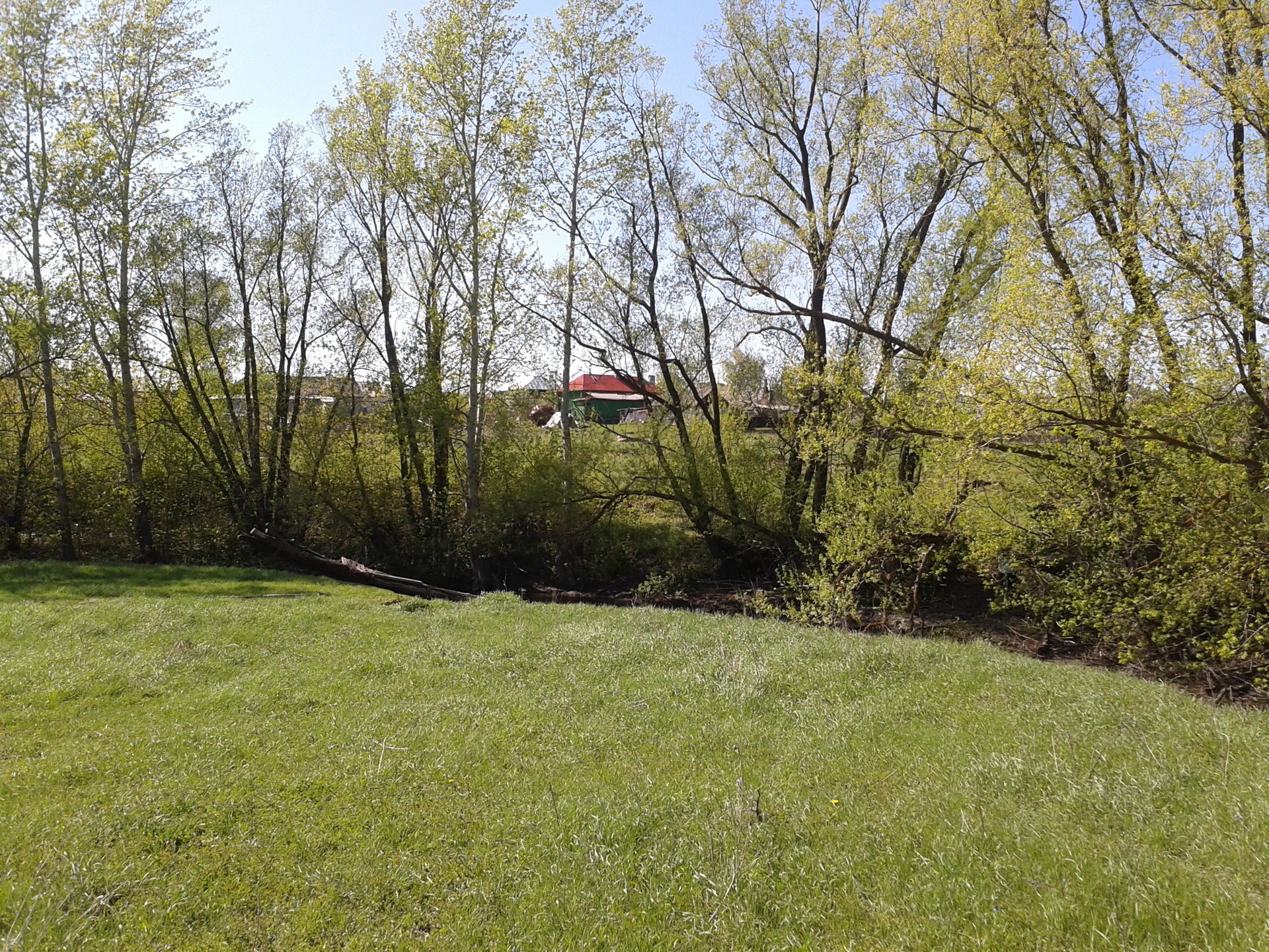 rifatevi gli occhi la primavera sta arrivando