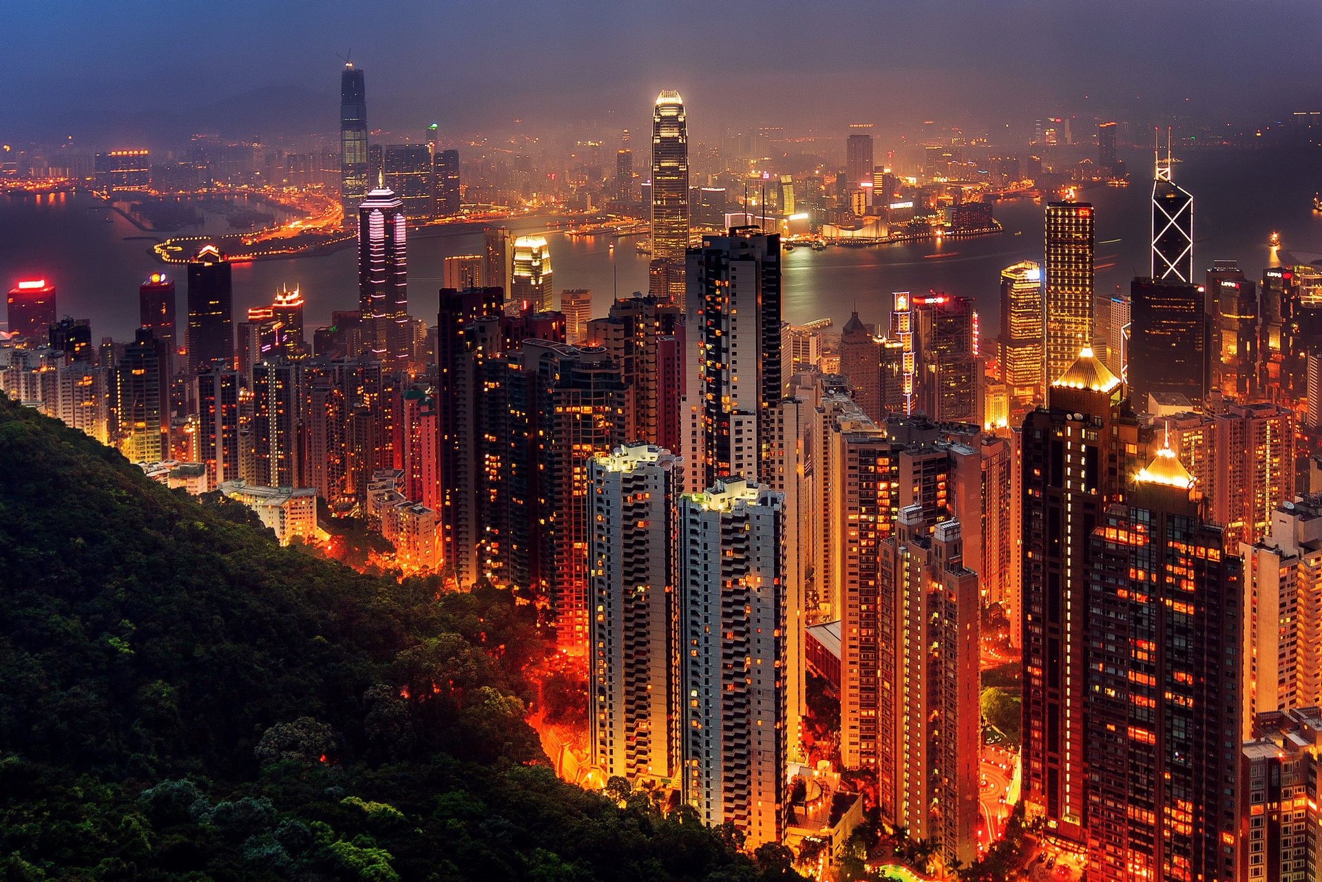 the city hong kong asia night lights the evening