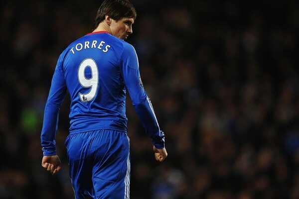 Fernando Torres during a football match in blue uniform