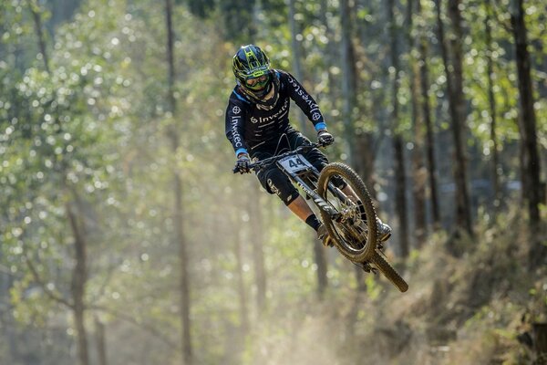 Courses de vélo dans la forêt