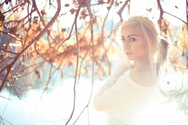 A beautiful girl poses for a photographer against the background of branches with yellow leaves