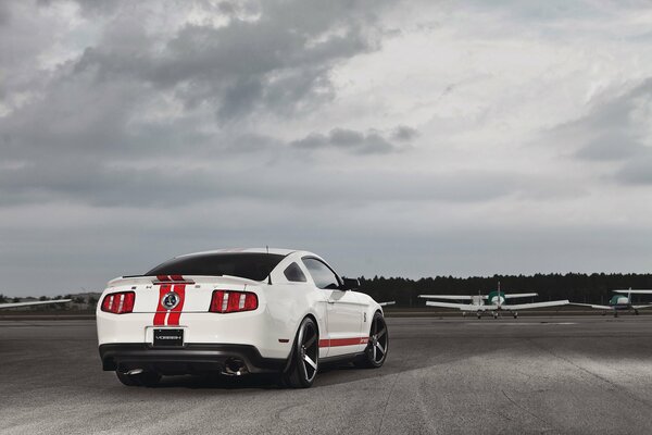 Mustang blanco en el aeródromo con aviones