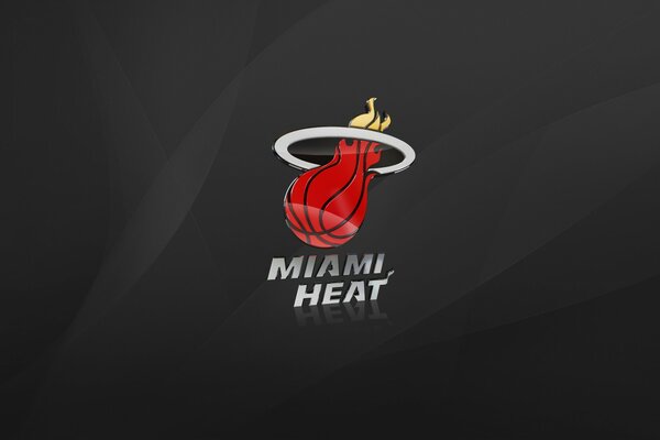 Emblème de Miami Heat sur fond gris