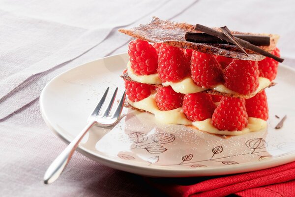 Delicious dessert with raspberries on a plate