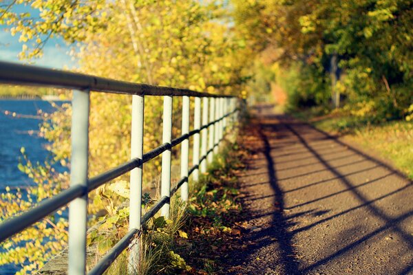 Shadow on the path from the birth in the autumn square by the water