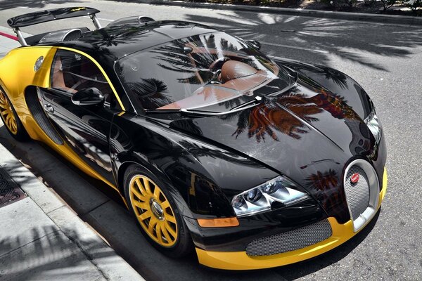 Bugatti negro amarillo se encuentra bajo las palmeras y el sol