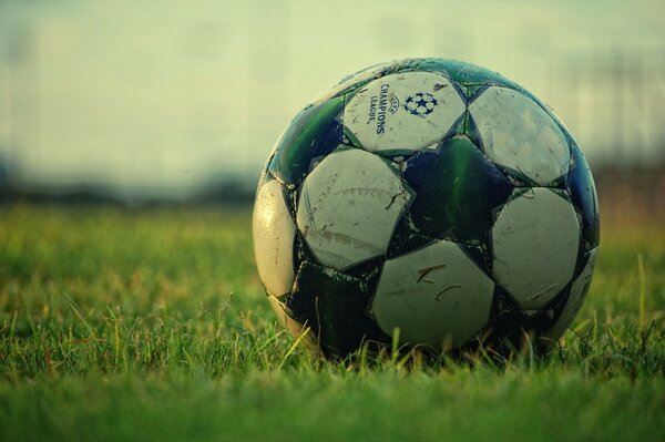 Pallone da calcio sul campo in erba