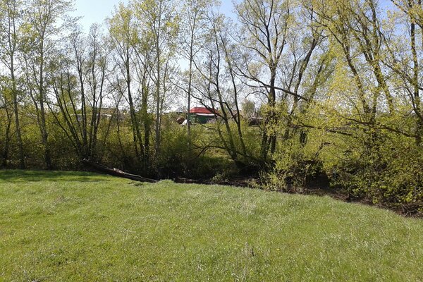 Image of a green edge with trees