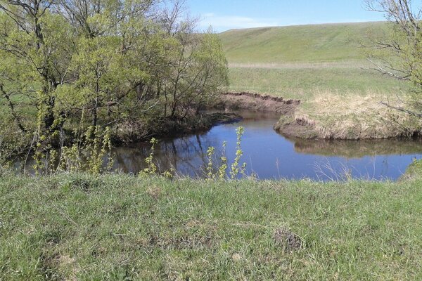 Ein ruhiger, gewundener Fluss mit Büschen an den Ufern