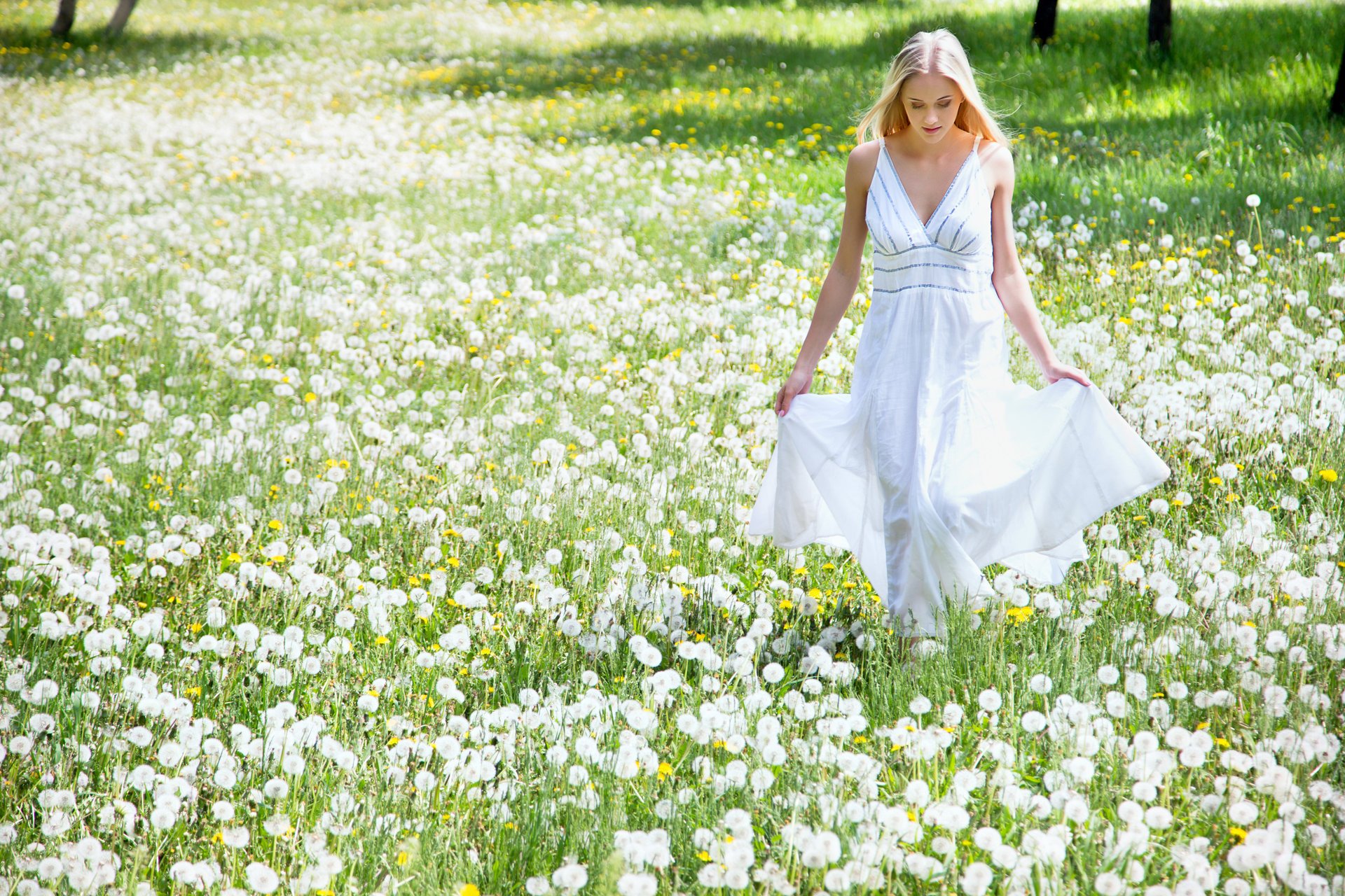 girl blonde the field dandelions flower