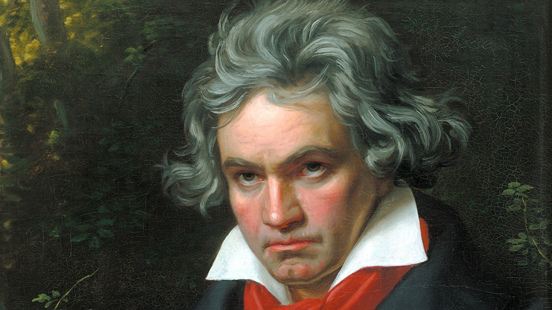 ludwig van beethoven musicien compositeur