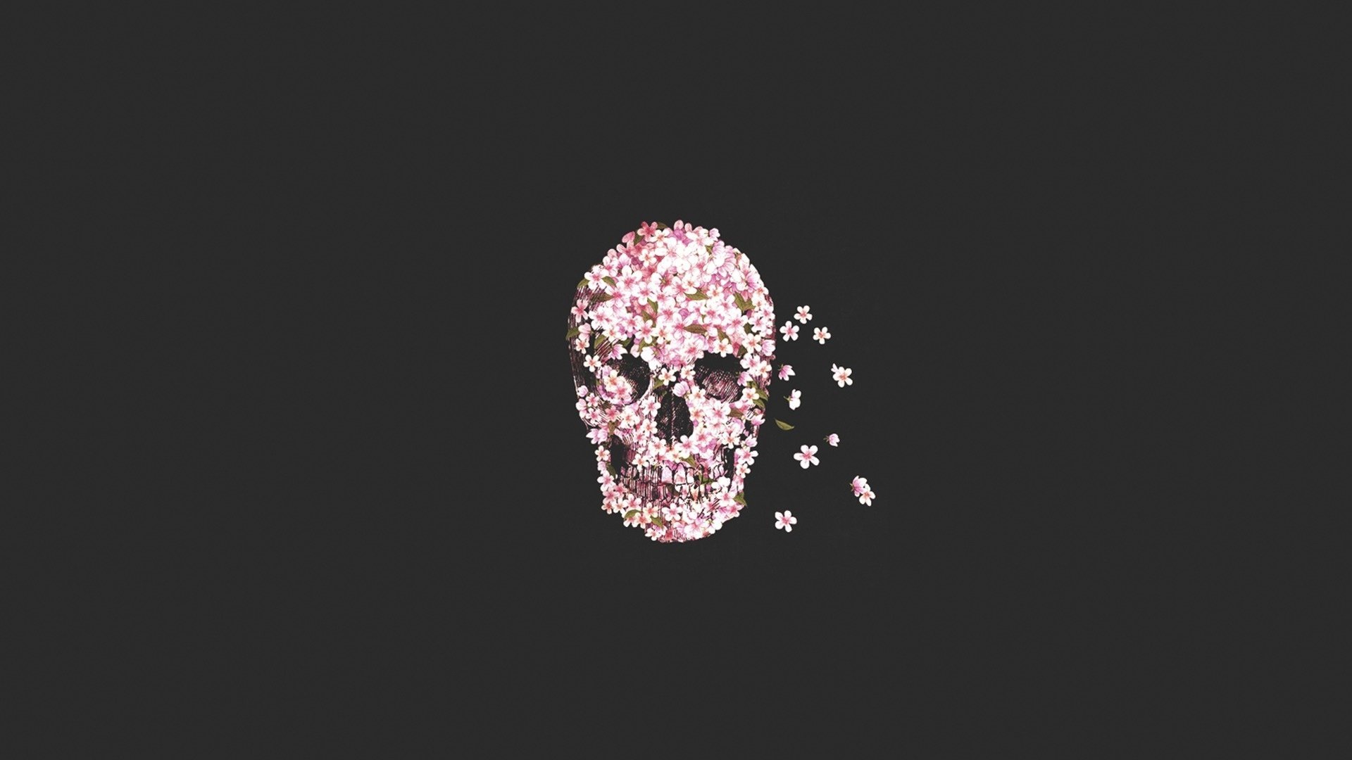 цветы skull flower череп