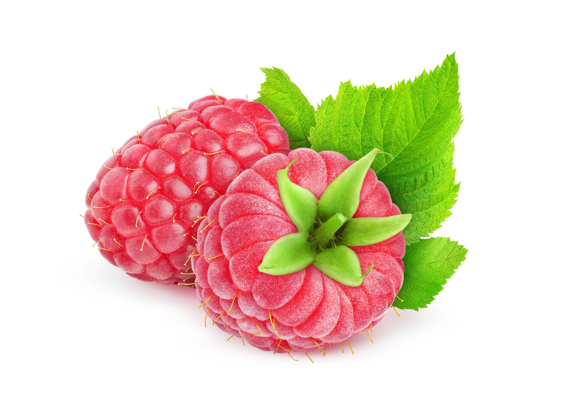 raspberry raspberry green red white berry