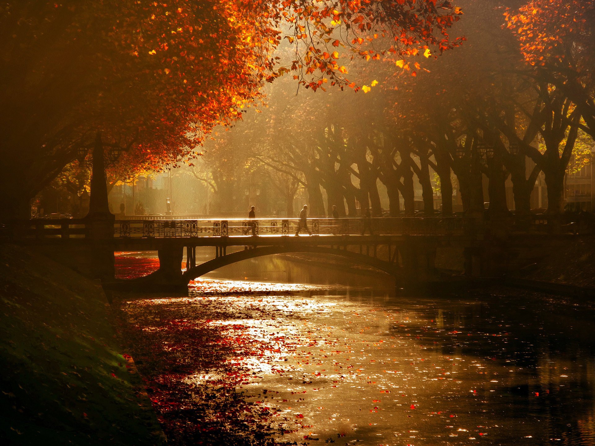 königsallee düsseldorf bäume brücke kanal