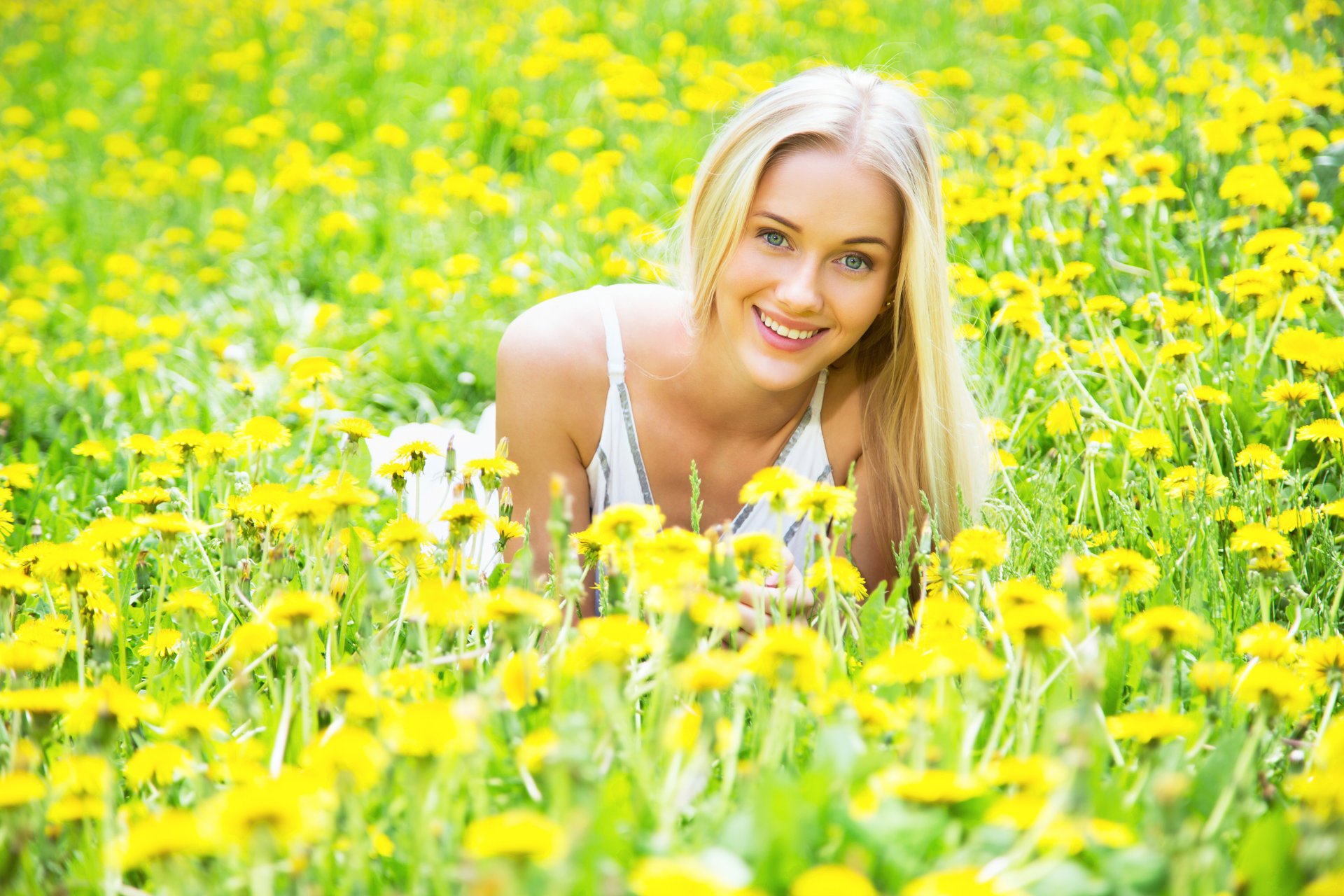 fiori denti di leone erba ragazza occhi grigi bionda