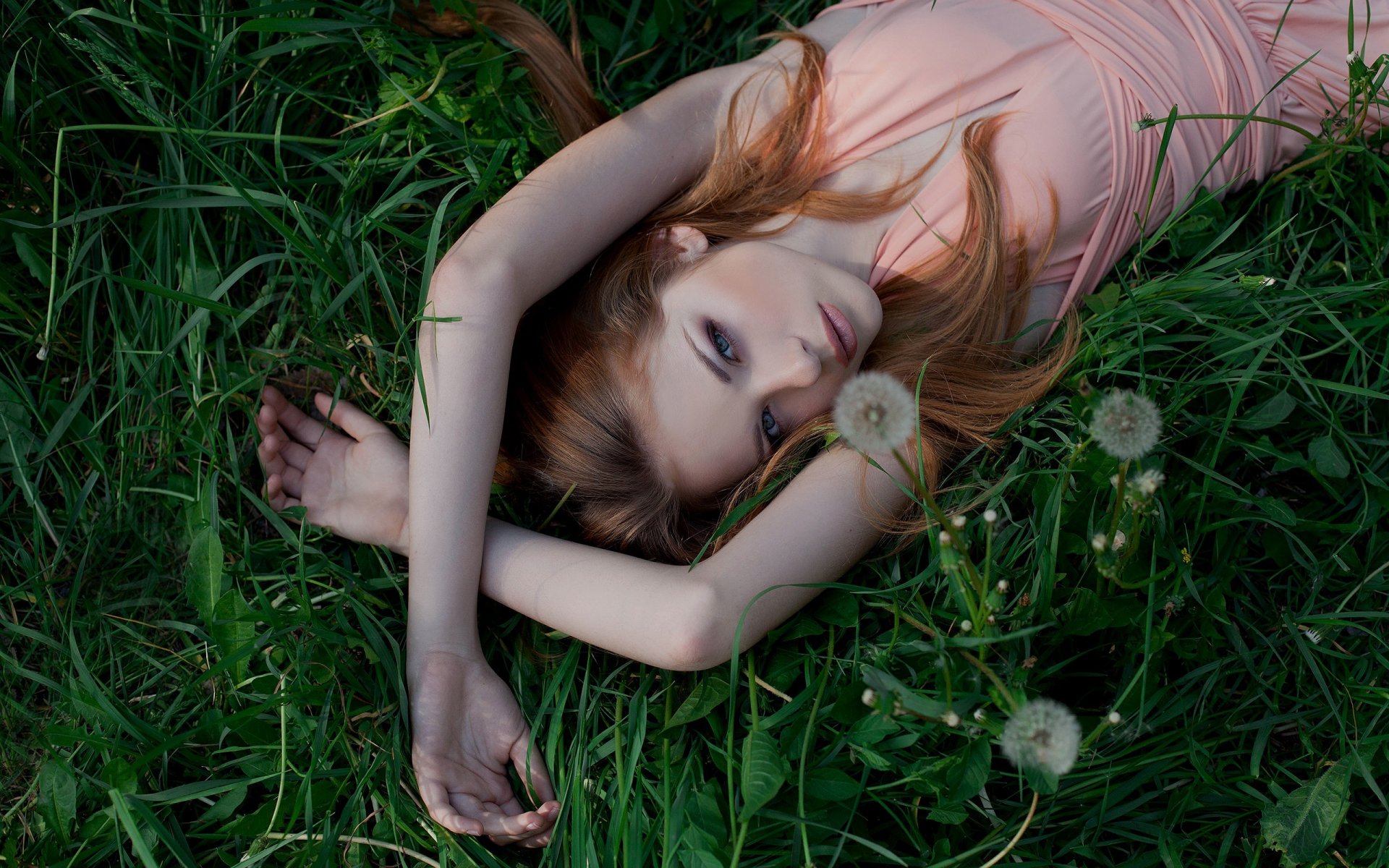 girl look pretty grass dandelions nature blonde women dress outdoor pose lying cute beautiful dandelion blonde present lying nice