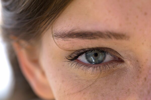 Grey eye of a girl with freckles