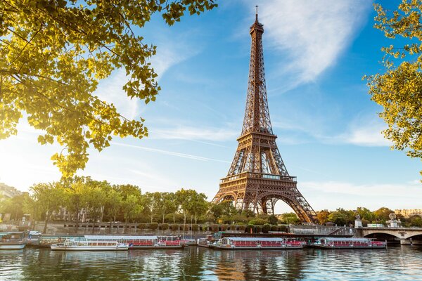 Paris. réflexions de la tour et des arbres dans l eau