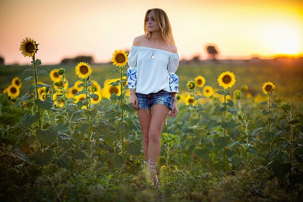 Chica en un campo de girasol al atardecer