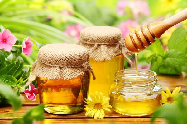 Jars of honey surrounded by green herbs and flowers